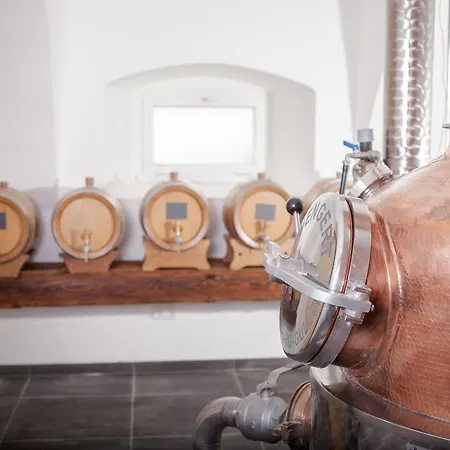 Spirit Hotel Regensburg